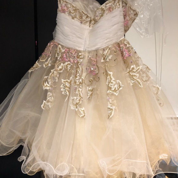 Sherri hill short, puffy beautiful dress - Picture 4 of 5